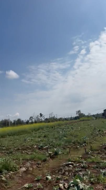 Đất nền Huyện Krông Pắc, Đắk Lắk - Sổ đỏ 160m² - Giá đầu tư chỉ từ 299 triệu