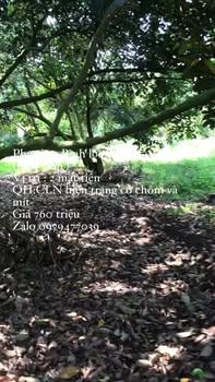 Đất nền 504m² mặt tiền đường CLN, Xã Bình Lộc, Long Khánh - 760 triệu