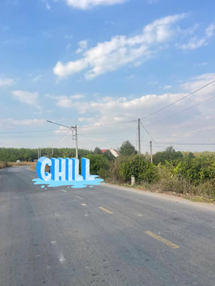 Đất Vườn Dầu Tiếng 1.8Ha - Cơ hội Đầu tư dài hạn!