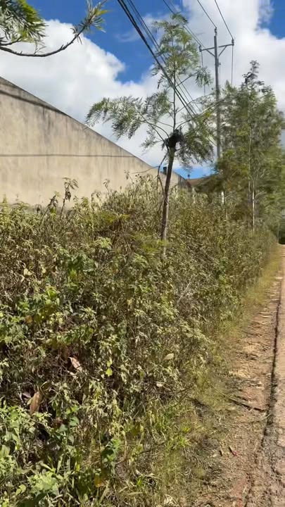 Đất nền Đà Lạt 478m² hai mặt tiền - Sổ hồng xây dựng giá 3.6 tỷ