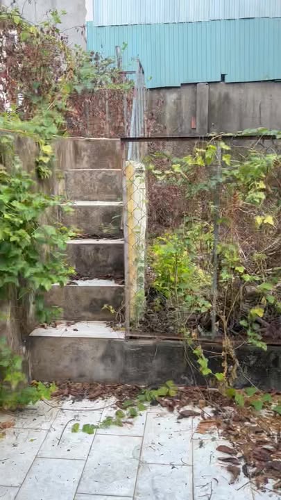 Nhà Mái Thái 2PN Tôn Đức Thắng, Đồng Xoài - Giá 4 Triệu/Tháng