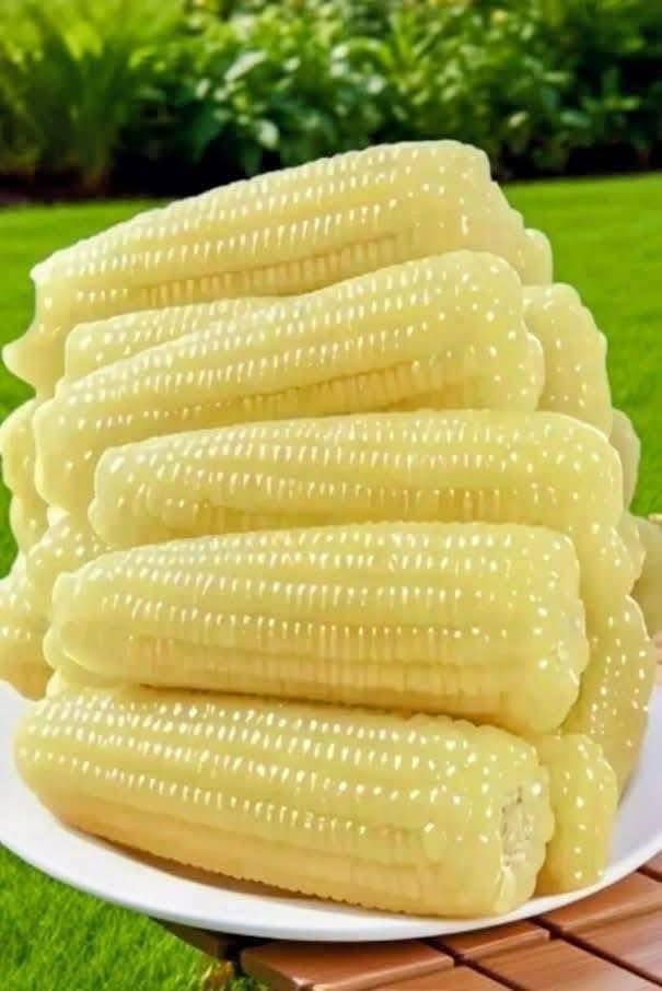 Đất Nền Đức Tài, Bình Thuận - 132m² Sổ Đỏ, Giá 670 Triệu