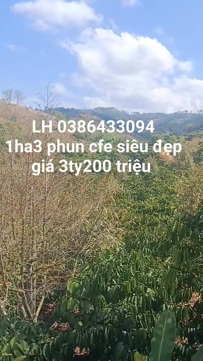 Bán Gấp Đất Vườn Lâm Hà 13000m² Giá 3.2 Tỷ - Mặt Tiền 3 Đường Thông