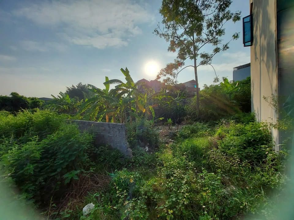 Đất Nền Vân Đình, Ứng Hòa 125m² - Mặt Tiền Rộng 9.5m - Giá 950 Triệu