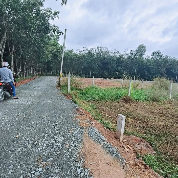 Đất Nền 150m² Phường Long Hoa, Tây Ninh - Sổ Hồng Riêng, Giá Tốt 410 Triệu