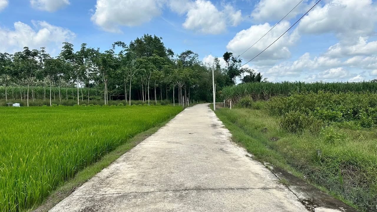 Đất nền Ấp Rộc, Thạnh Đức 125m² - Tiềm năng tăng giá vượt trội!