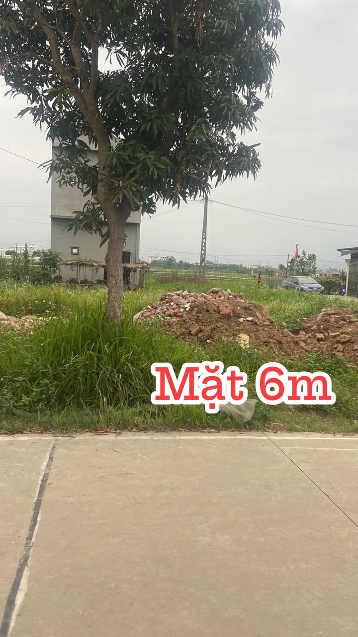 Đất nền 120m² Tứ Kỳ, Hải Dương - Lô duy nhất còn sót lại, giá hơn 2 tỷ