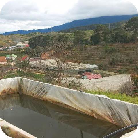 Bán Đất Vườn Dran Cổ - 4300m² Sổ Hồng Riêng - Giá 2.3 Tỷ