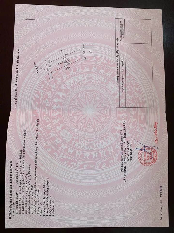 Đất Vườn Đắk Lắk 516m² - Giá F0 Chỉ 295 Triệu Tại Krông Năng