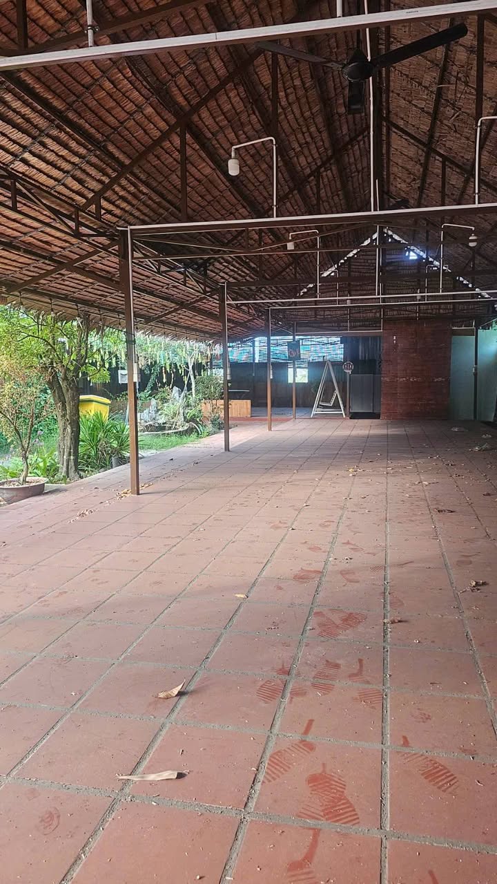 Đất mặt tiền kinh doanh Võ Văn Kiệt Cần Thơ 700m² - Vị trí đắc địa!