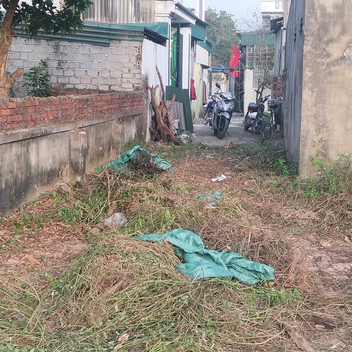 Đất nền Quảng Tiến Sầm Sơn 78m² - Giá Hơn 700 Triệu - Sẵn Sổ Hồng