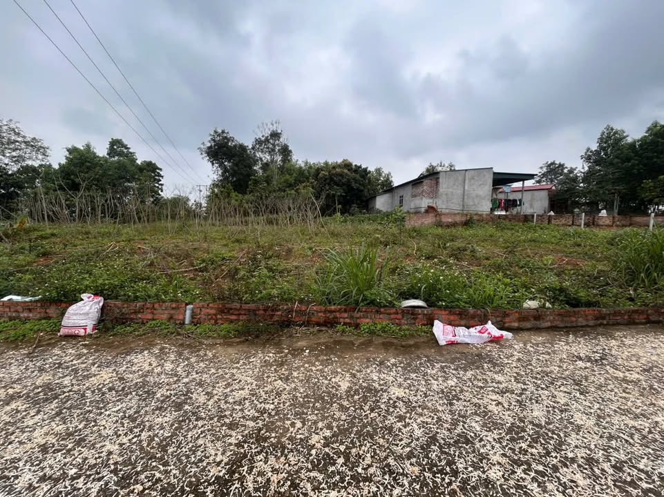 Đất nền Khu 1 Phong Châu 151m² - Tiềm năng tăng giá vượt trội!