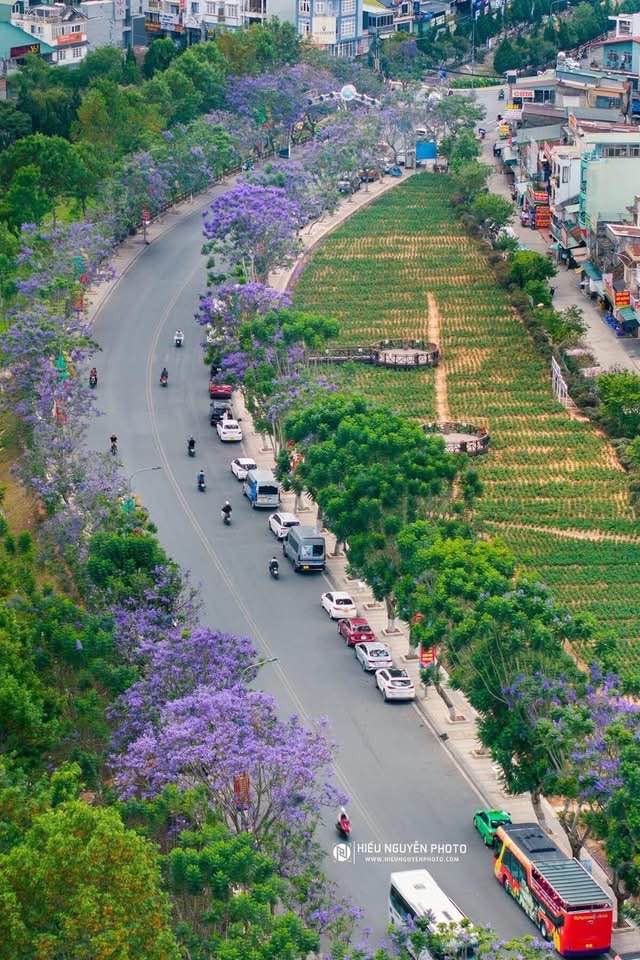 Đất Phan Chu Trinh Đà Lạt 138m² giá 7.9 tỷ - Sổ hồng riêng xây dựng