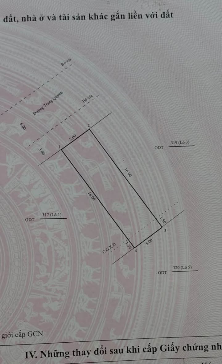 Đất nền Mặt tiền Trạng Quỳnh, Quy Nhơn 3 tỷ - Sổ đỏ chính chủ!