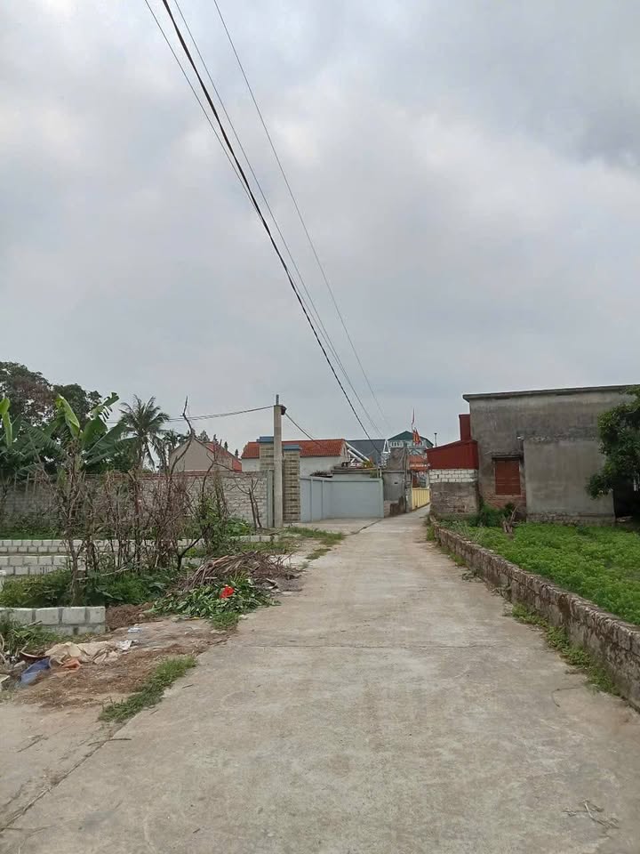 Đất Vĩnh Bảo Hải Phòng 100m² - Ô Tô Tận Nơi, Giá Chỉ 600 Triệu