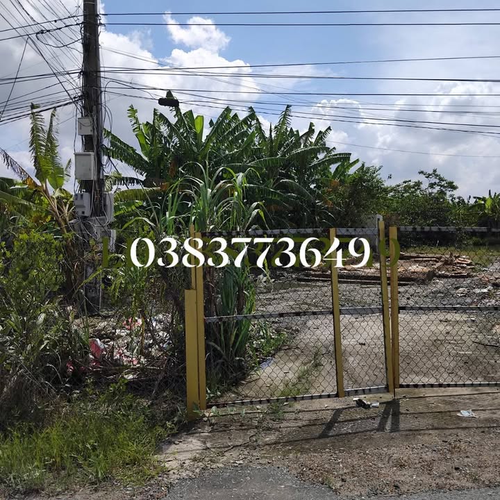 Đất Mặt Tiền Lộc Trung, Cần Giuộc 511m² Sổ Hồng Riêng - Giá Tốt