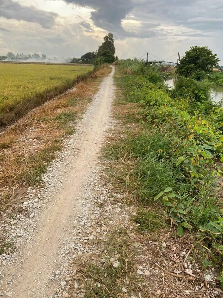 Đất Ruộng 7500m² Vĩnh Châu, Châu Đốc - Pháp lý rõ ràng, tiềm năng sinh lời