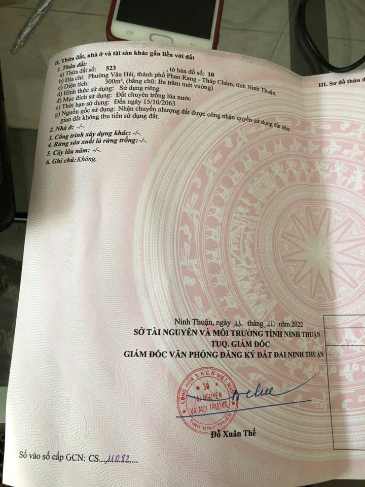 Bán Nhanh Đất Lúa 300m² Vuông Vức Tại Văn Hải, Phan Rang - Chỉ 300 Triệu