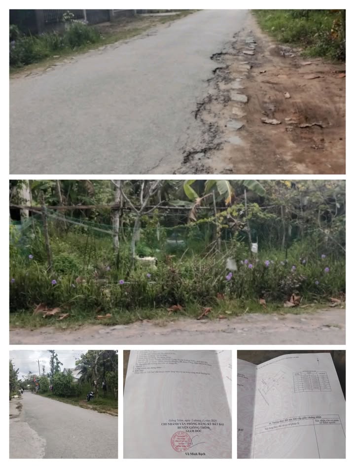 Đất nền Ấp 9 Giồng Trôm 713.7m² - Tiềm năng tăng giá vượt trội!