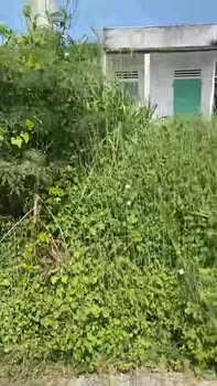 Bán Đất 512m² Sổ Hồng Tách 2 Sổ, Đường Xe Hơi Tận Nơi - Bình Thuận