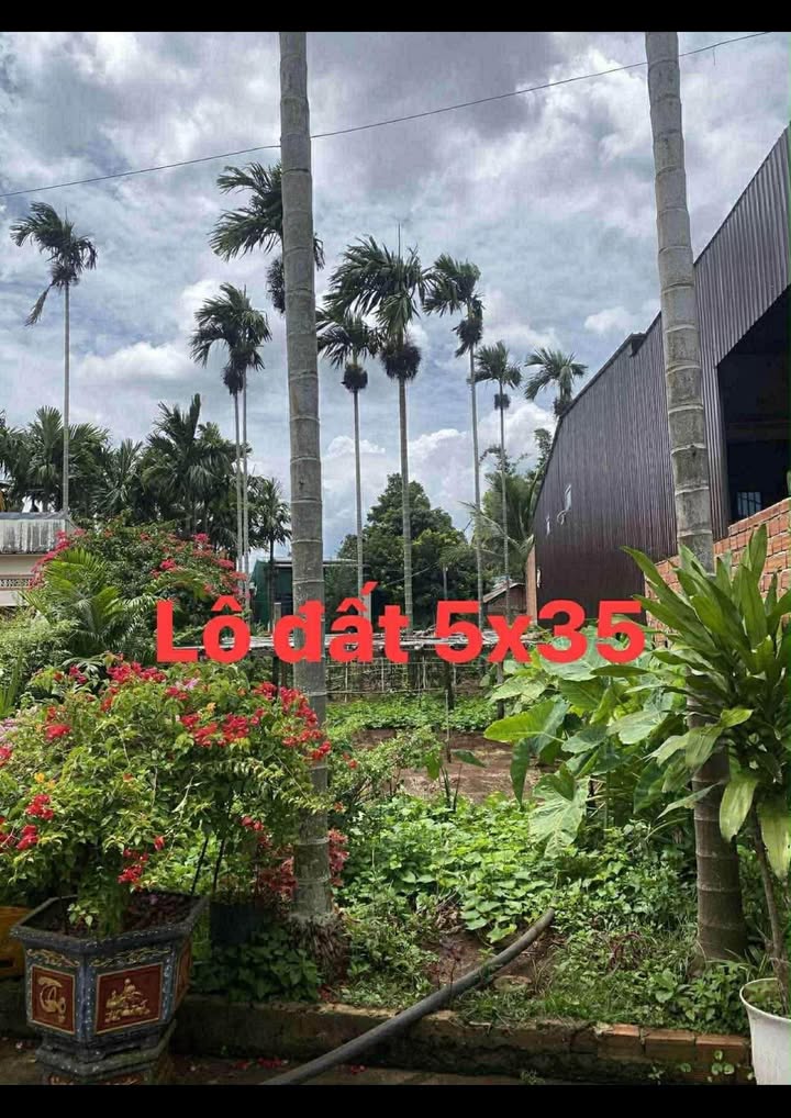 Đất 175m² Quảng Phú, Đắk Lắk - Gần Chợ, Bách Hóa Xanh, Sẵn Sổ Hồng