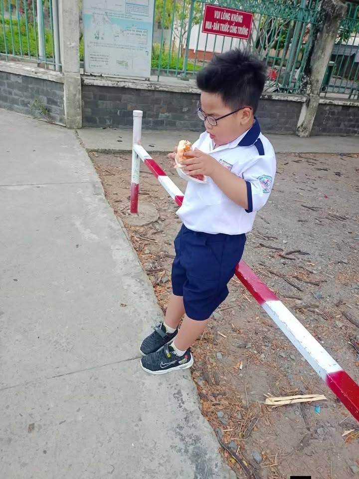 Đất Lúa Xã Nhựt Ninh 1329m² giá 638 triệu - Sổ đỏ chính chủ