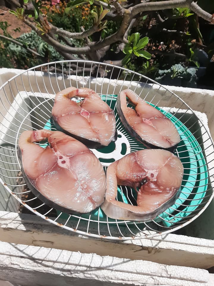 Bán Đất Hàm Liêm, Bình Thuận - 1800m² Sổ Hồng Sẵn Sàng, Giá Đầu Tư 250 Triệu