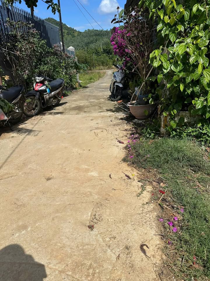 Đất nền Vĩnh Phương Nha Trang 130m² giá 520 triệu - Đường to ô tô