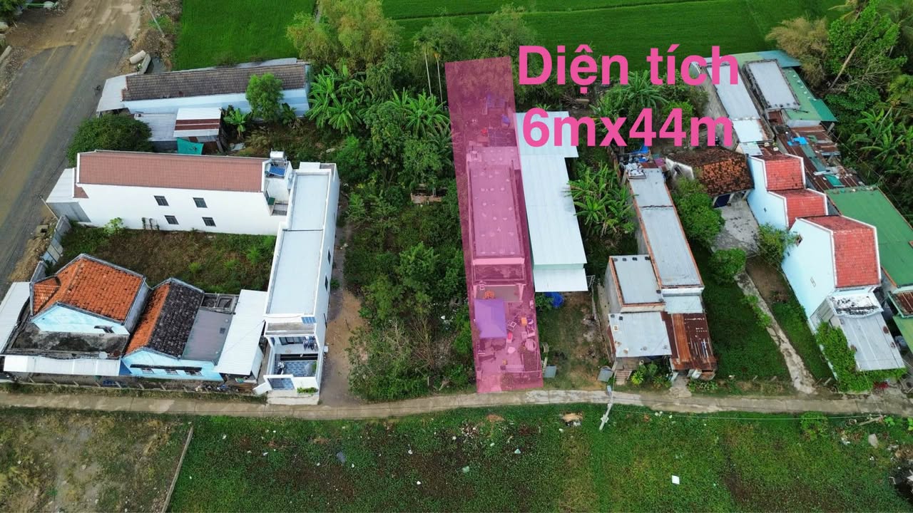 Bán Gấp Nhà Cấp 4 262m² Đường Minh Mạng, Ninh Hòa - Giá 1.x Tỷ