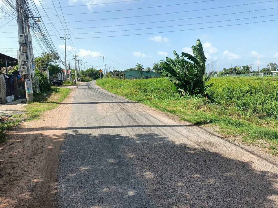 Đất nền Ngô Đức Tốn Hàm Liêm 2.500m² 17,7 tỷ - Sổ đỏ chính chủ