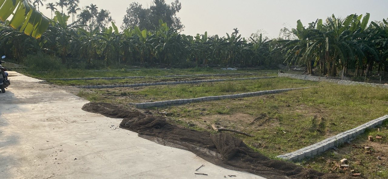 Đất Nền Tứ Kỳ 209m² Giá 6xx Triệu - Sổ Đỏ Chính Chủ