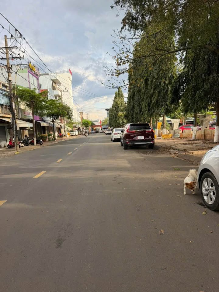 Nhà phố mặt tiền Ngô Gia Tự 54m² giá 7.9 tỷ - Vị trí đắc địa kinh doanh!