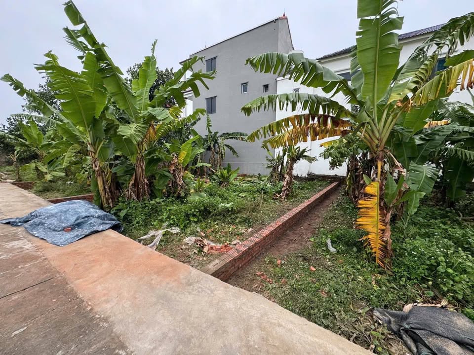 Đất nền An Sơn, Thuận An 85m² - Tiềm năng tăng giá vượt trội!