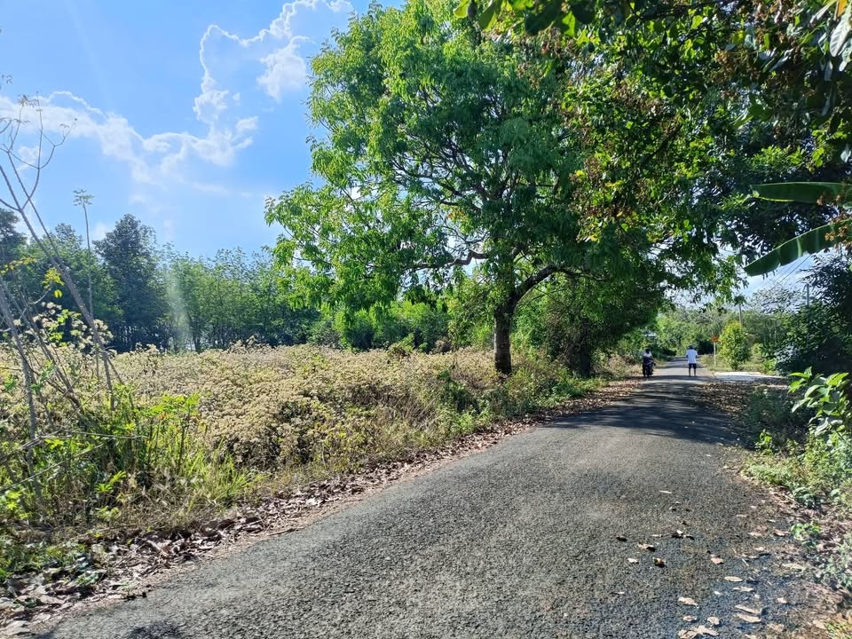 Đất nền Bù Đốp 100m² giá 800 triệu - Sổ đỏ chính chủ