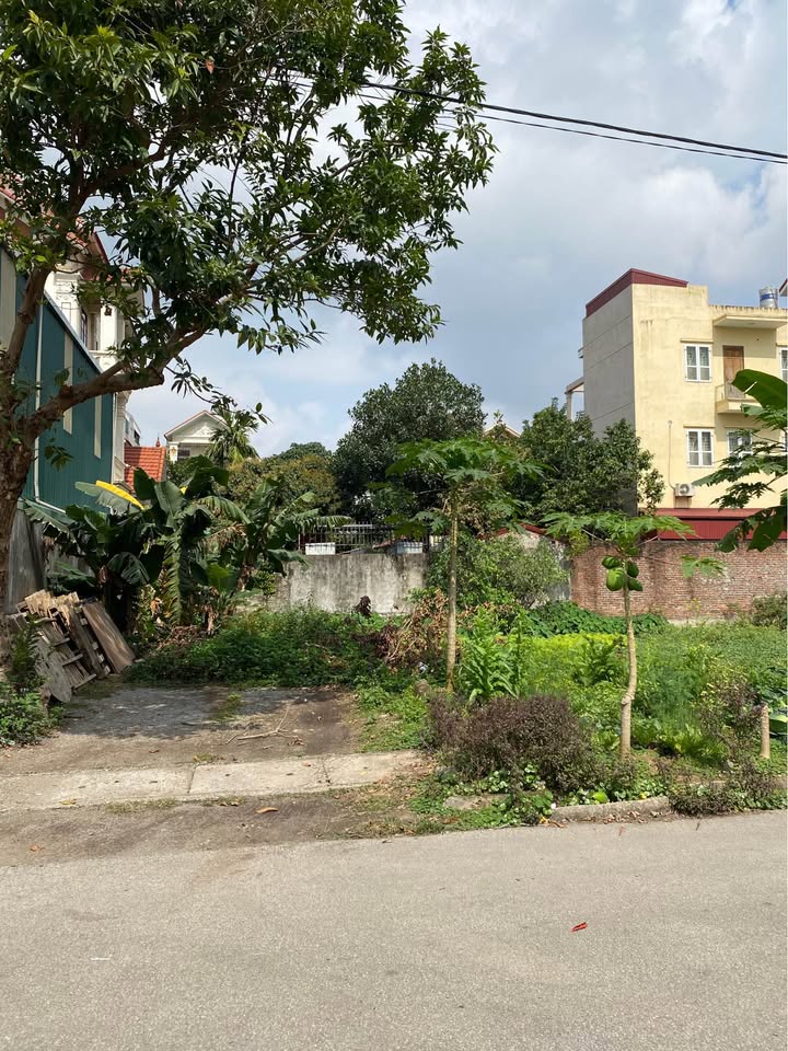 Đất nền Ninh Khánh 285m² Hoa Lư - Tiềm năng tăng giá vượt trội!