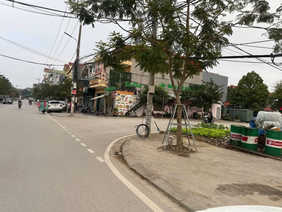 Cho thuê đất mặt tiền 280m² đường lớn Ninh Bình - Kinh doanh sầm uất