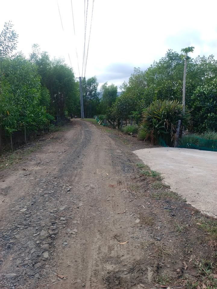 Bán Đất Vườn 7200m² Xuân Lộc, Đồng Nai - Giá Đầu Tư 800 Triệu