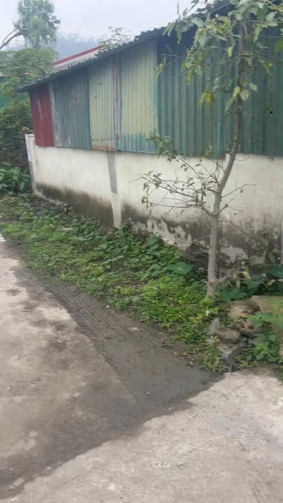 Đất nền Xã Nam Anh, Nam Đàn 100m² - Tiềm năng tăng giá vượt trội!