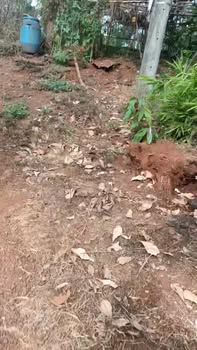 Đất nền DT759 Bù Đăng 1000m² chỉ 1.05 tỷ - Tiềm năng tăng giá vượt trội!