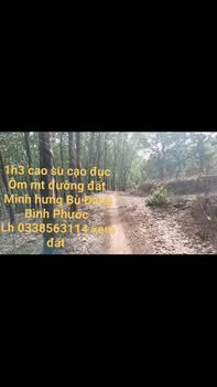 Đất vườn Minh Hưng Bù Đăng 1.3ha - Sổ đỏ chính chủ, ô tô tận nơi!