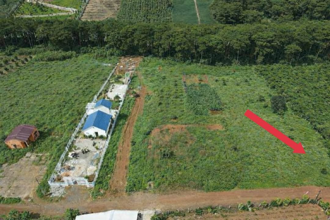 Đất vườn Bảo Lộc 925m² giá 1.65 tỷ - View rừng thông cực chill