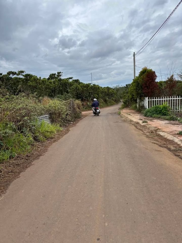 Đất Vườn Lộc Ngãi Bảo Lâm 8.5 Sào Giá 4.5 Tỷ - Nghỉ Dưỡng Lý Tưởng