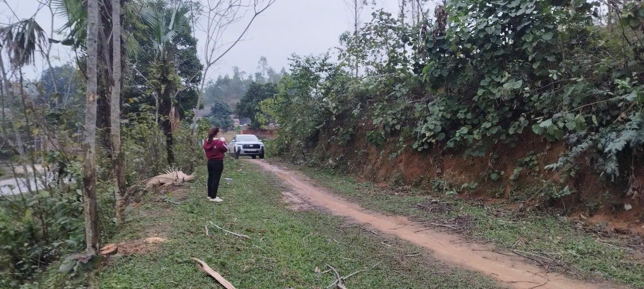 Đất nền Thị trấn Phong Châu, Phù Ninh 300m² - Sổ đỏ chính chủ!