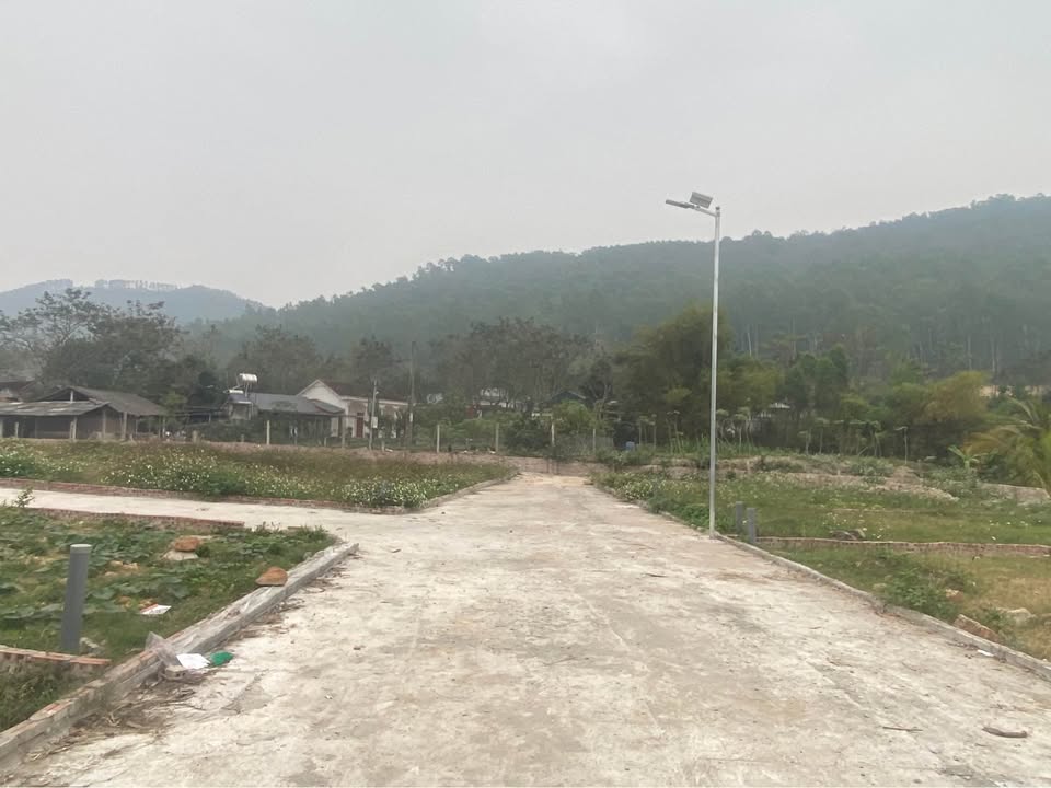 Đất nền Tam Đảo 200m² - Sổ đỏ sẵn, gần chợ trường học