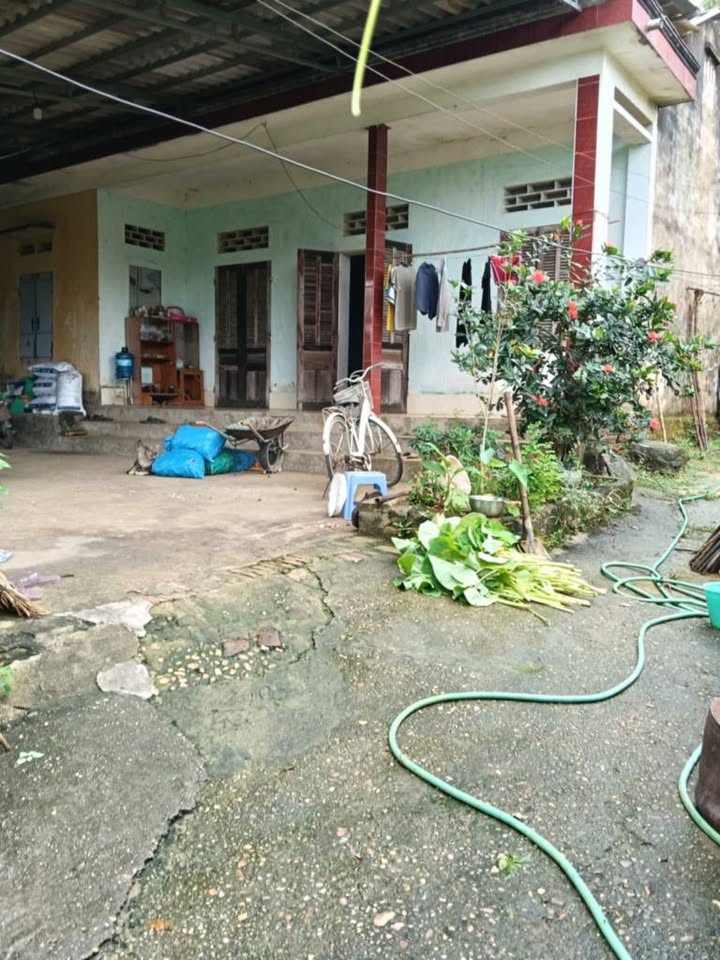 Đất nền Tây Cốc, Đoan Hùng 1000m² - Sổ đỏ chính chủ!