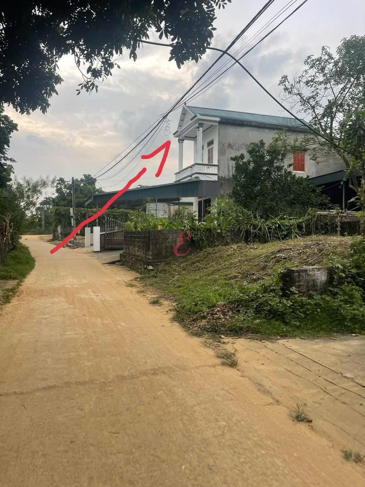 Đất Mặt Tiền Quốc Lộ 37, Thái Thụy - 150m² Kinh Doanh Đắc Lợi