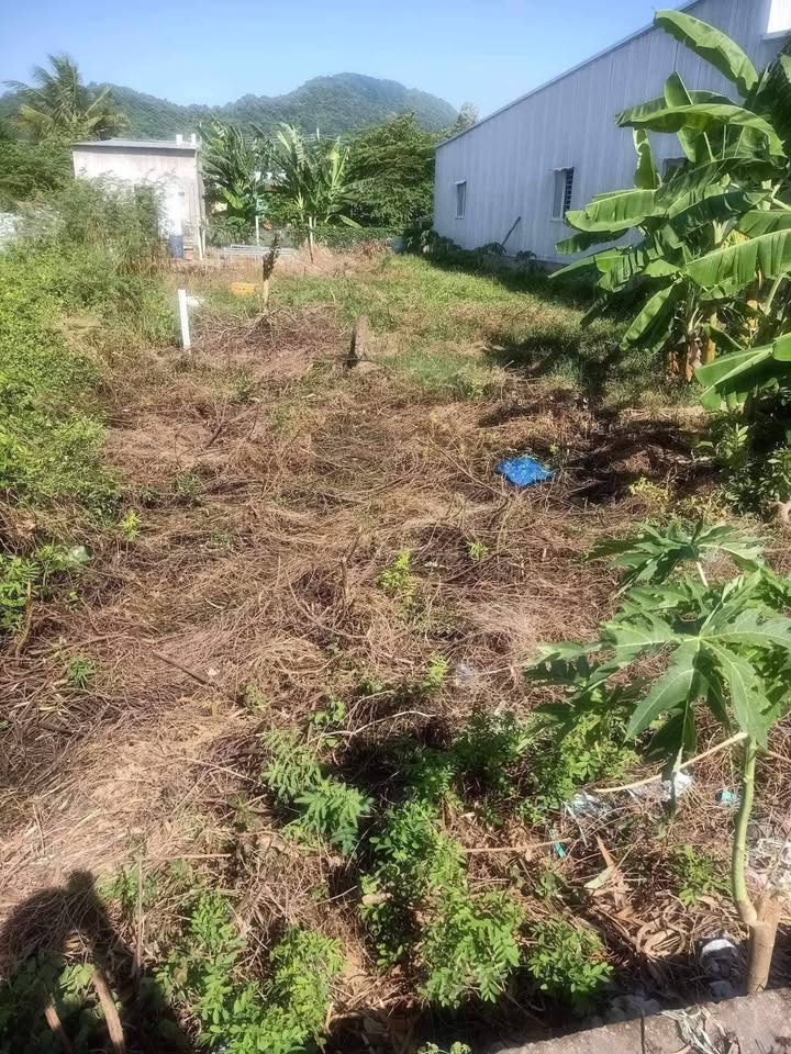 Đất nền Mặt tiền Quốc lộ N1 Tịnh Biên 115m² - Sẵn sàng kinh doanh, đầu tư sinh lời