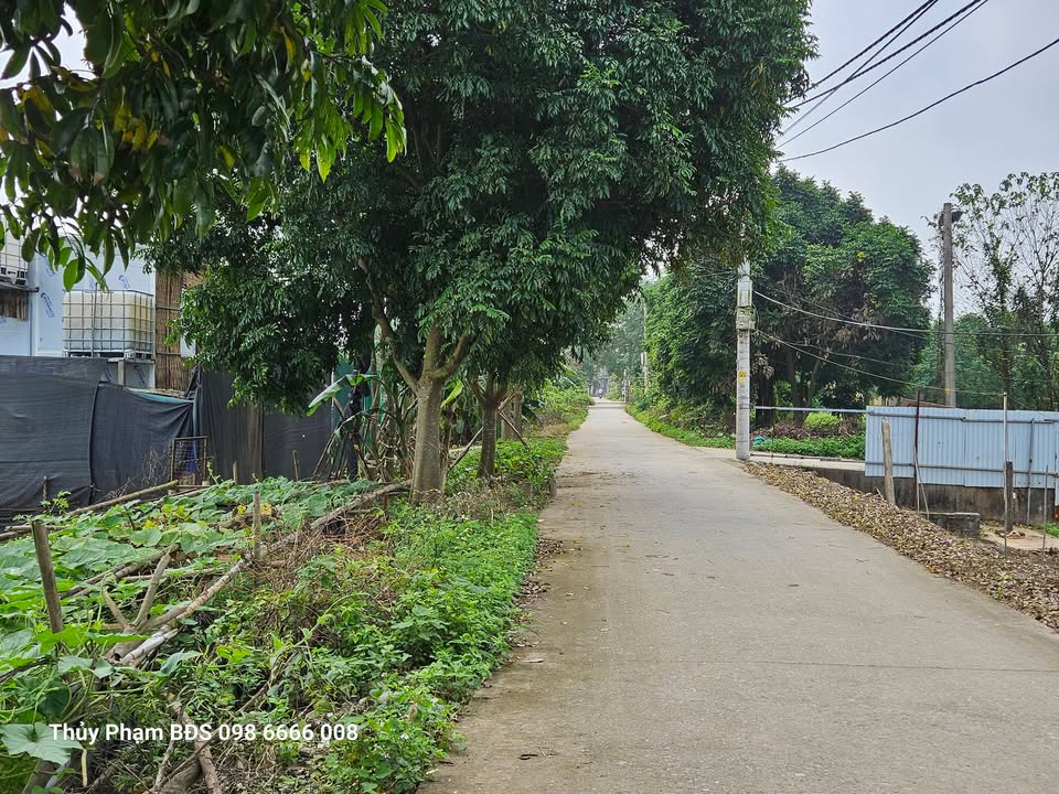 Đất Vườn Thanh Trì 560m² 1.68 tỷ - Nghỉ dưỡng lý tưởng!