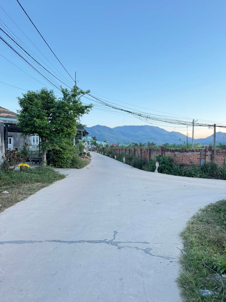 Đất Nền Long Thành 1600m² Mặt Tiền Đường Betong - Giá Ngộp Bank 1.X Tỷ