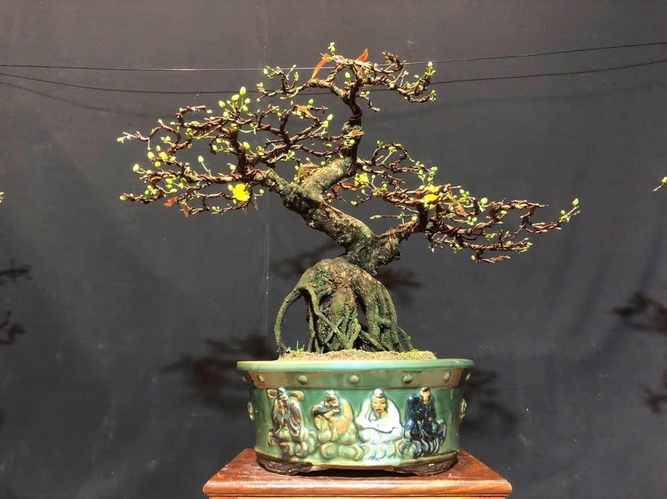 Nhà riêng Thị trấn Tuy Phước 209m² - Ô tô vào tận nhà!